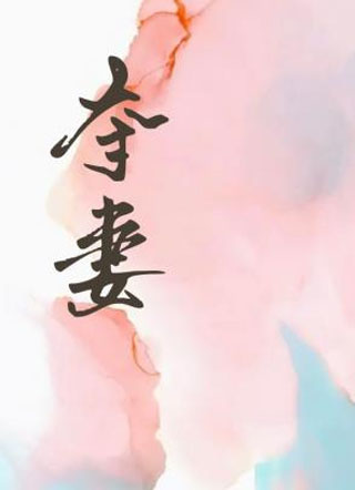 夺妻小说