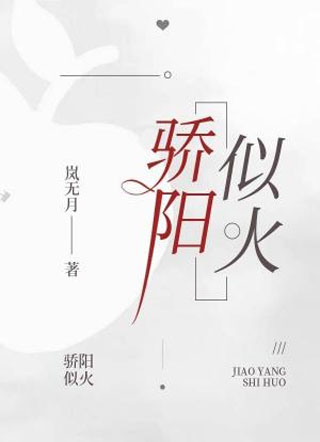 骄阳似火小说