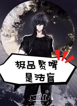 极品赘婿是法盲小说