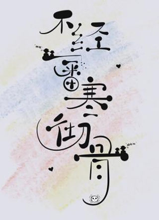 不经一番寒彻骨小说