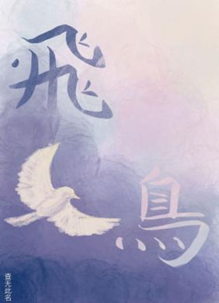 飞鸟不飞小说