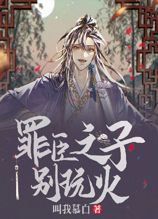 罪臣之子，别玩火小说