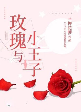 玫瑰与小王子小说