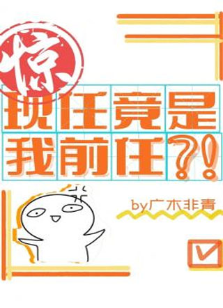惊！现任竟是我前任？小说
