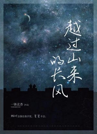 越过山来的长风小说