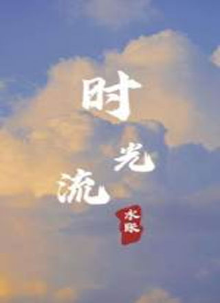 时光流水账小说