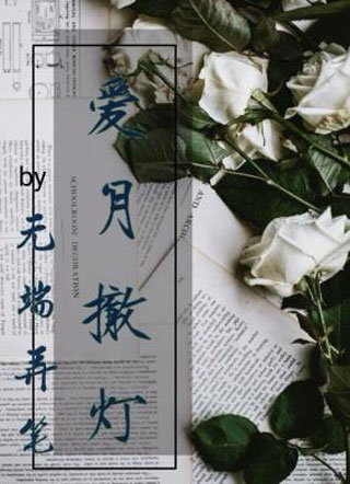 爱月撤灯小说