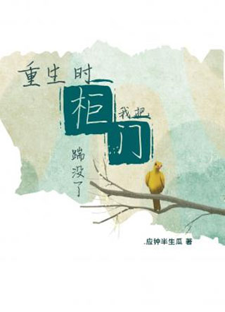 重生时我把柜门踹没了小说