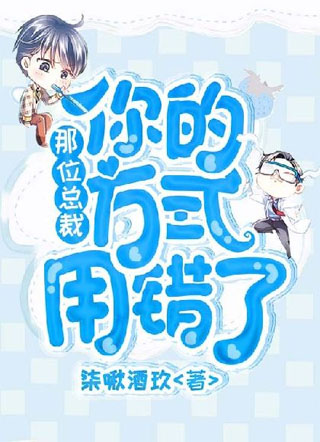 那位总裁，你的方式用错了小说