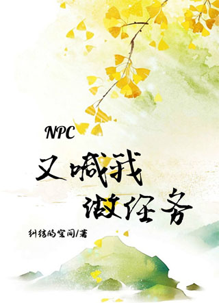 NPC又喊我做任务小说
