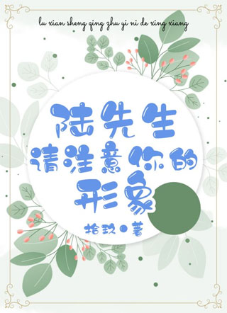 陆先生，请注意你的形象小说