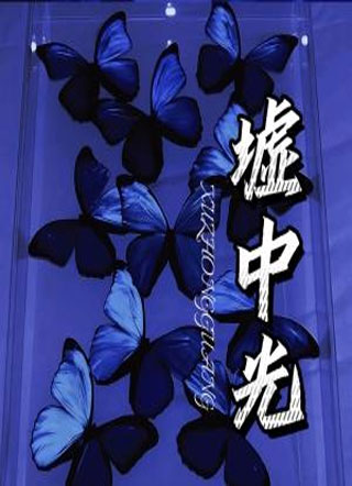 墟中光小说