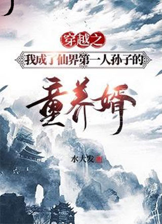 穿越之我成了童养婿小说