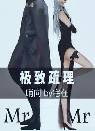 极致疏理小说