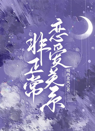 非正常恋爱关系小说