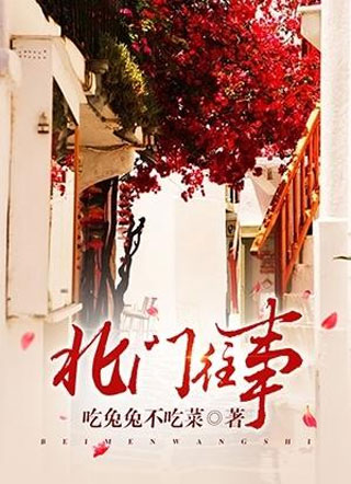 北门往事小说