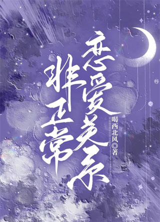 非正常恋爱关系小说