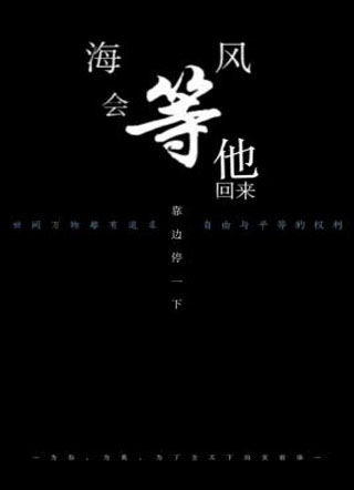 海风会等他回来小说
