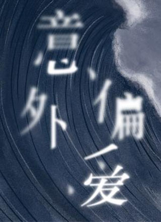 意外偏爱小说