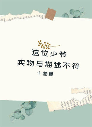这位少爷实物与描述不符小说