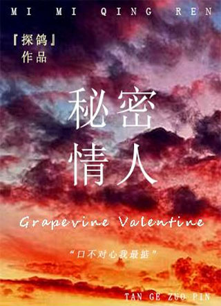 秘密情人小说