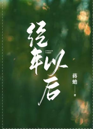 经年以后小说