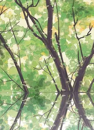 冲上云霄小说