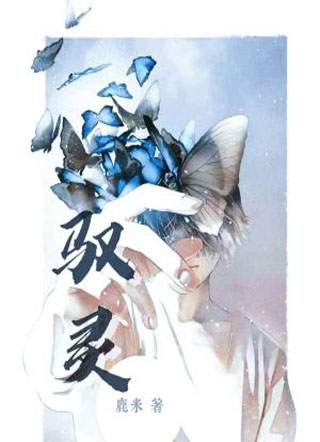 驭灵小说