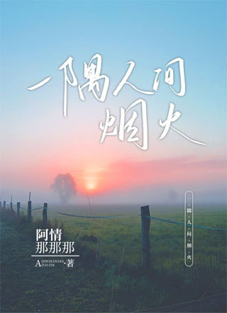 一隅人间烟火小说
