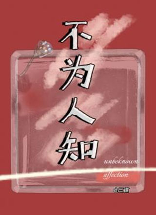 不为人知小说