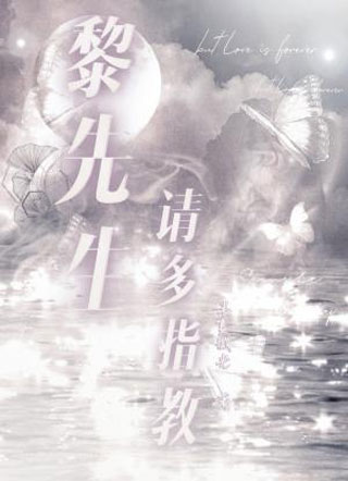 黎先生，请多指教小说