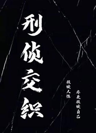 刑侦：交织小说