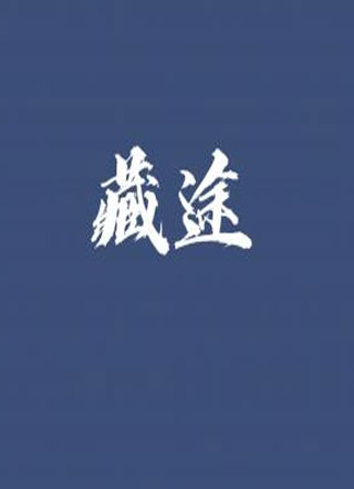藏途小说