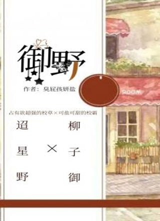 御野小说