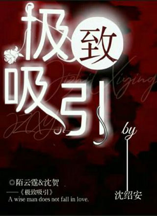 极致吸引小说