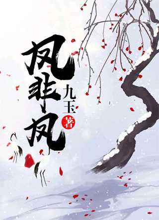 凤非凤小说