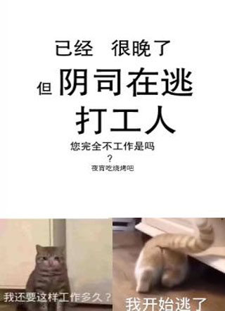 阴司在逃打工人小说
