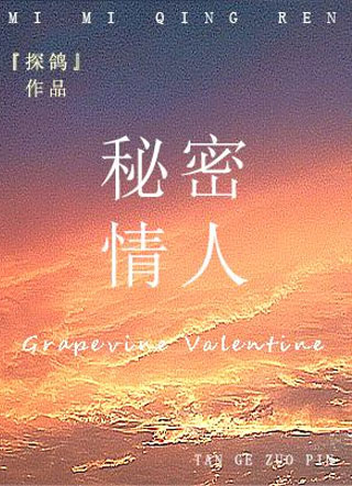秘密情人小说