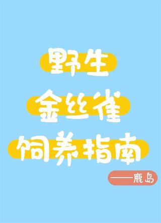 野生金丝雀饲养指南小说