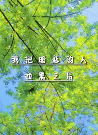 我把暗恋的人拉黑之后小说