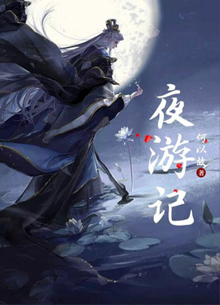 夜游记小说