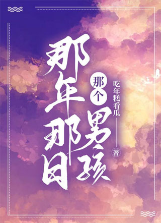那年那日那个男孩小说