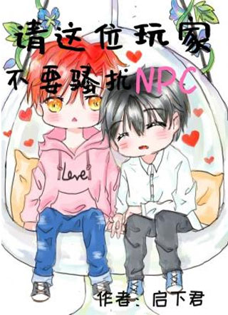 请这位玩家不要骚扰NPC小说