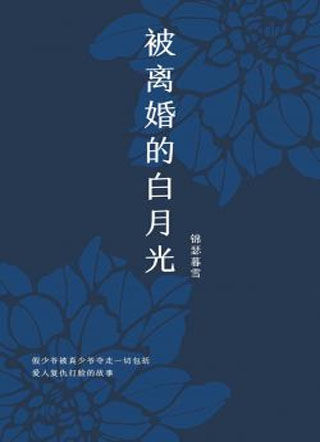 被离婚的白月光小说