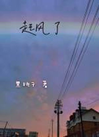 起风了小说