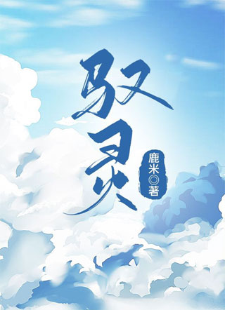 驭灵小说
