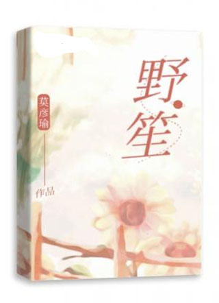 野笙小说