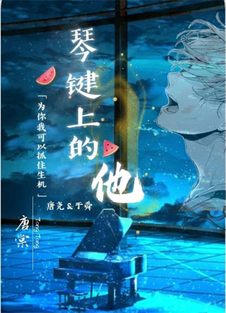 琴键上的他小说