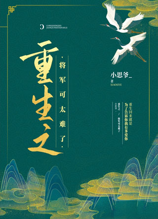 重生之将军可太难了小说