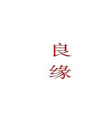 良缘小说